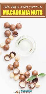 Are Macadamia Nuts Good For You Macadamia Nuts Macadamia Macadamia Nuts Nutrition