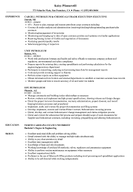 In this context integrity is defined as the prevention of the loss of containment of. Petroleum Resume Samples Velvet Jobs