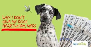 Yes You Can Prevent Heartworm In Dogs Without Harmful Meds We Ll Show You How To Safely Replace Those Harmful Meds With Heartworm Meds For Dogs Worms In Dogs