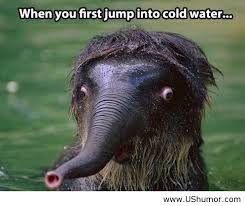 Quotes About Jumping Into Cold Water 14 Quotes