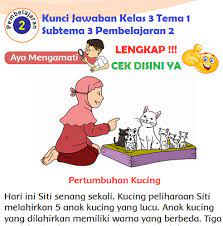 Soal mata pelajaran tematik tema 3 dengan subtema 1 dan 2 sebagai acuan pembuatan bahan ajar soal ulangan bagi. Lengkap Kunci Jawaban Kelas 3 Tema 1 Subtema 3 Pembelajaran 2 Simple News Kunci Jawaban Lengkap Terbaru