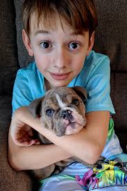 My son has just got a wheelchair so I will be selling his special tomato  pushchair anyone have any recommendations