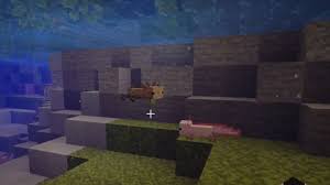Just the fish won't work). Minecraft Axolotl Mob Everything We Know Pro Game Guides