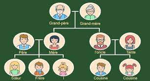 We did not find results for: Arbol Genealogico En Frances Terminos Basicos Y Como Formarlo