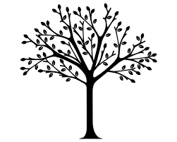 Article Infants And Toddlers Meet The Natural World Tree Art Black And White Tree Art