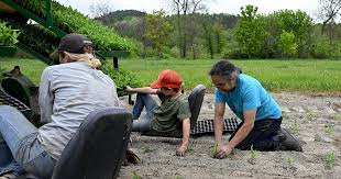 Latino farmer uses heirloom corn to connect with community