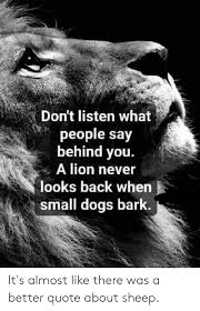 It's time to unleash that lion. Don T Listen What People Say Behind You A Lion Never Looks Back When Small Dogs Bark It S Almost Like There Was A Better Quote About Sheep Dogs Meme On Me Me