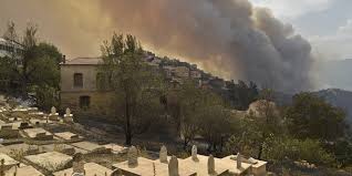 « cet incendie a fait l'objet d'une intervention rapide des équipes de sécurité du site qui ont sécurisé la zone indiquée. M5kekhxkmgwojm