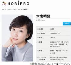 「木南晴夏」の画像検索結果