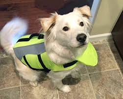 Vivaglory Dog Life Jackets With Extra Padding For Dogs Medium Extra Reflective Yellow