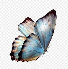 Follow Pedromartinx Butterfly Tumblr Animals Forest Transparent Background Butterflies Png Image With Transparent Background Png Free Png Images In 2020 Butterfly Background Transparent Background Transparent