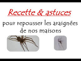 Check spelling or type a new query. Recette Et Astuces Pour Repousser Les Araignees De Nos Maisons Sous Titres Disponibles Youtube