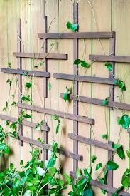 It produces both privacy and decoration. 22 Best Diy Trellis Ideas Easy Garden Trellis Project Designs