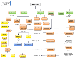 Sistem 5 kingdom ini termasuk prokariotik protista fungi metaphyta dan metazoa. Pdf Peta Konsep 3 7 Jamur Friska Chairunnisa Academia Edu