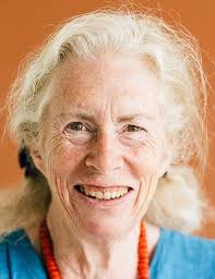 Anita Pitney Fiorillo Obituary