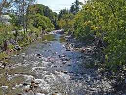 Capital for a Day” Visits the Jeudevine Library