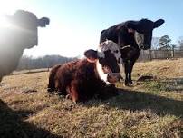 Evening Tour @ The Ranch (BYOB)