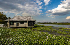Crossing Paths: Westwego, Louisiana