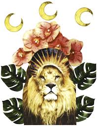 Chani Nicholas Shine Forth The New Moon In Leo Moon In Leo Astrology Art Art