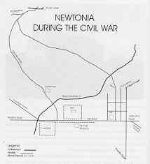 Image result for Newtonia