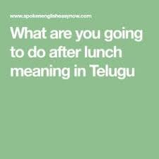 What Are You Going To Do After Lunch Meaning In Telugu Meant To Be Telugu Lunch