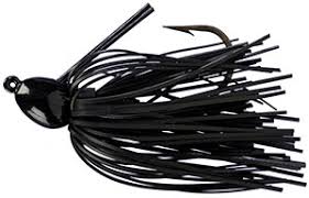 Maybe you would like to learn more about one of these? Strike King Bitsy Bug Mini Jig