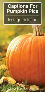 See more ideas about fall halloween, fall thanksgiving, happy fall. 36 Gourd Geous Pumpkin Instagram Captions Pumpkin Cute Pumpkin Carving Pumpking Carving