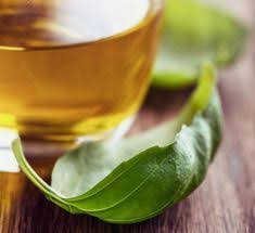 Basil Oil Northwest Kidney Centers Kidney Friendly Foods Renal Diet Recipes Kidney Diet Recipes