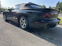 Image result for Black 1998 AAV