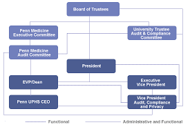 Organization Chart Penn Audit Compliance And Privacy