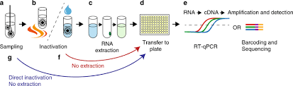 Use them in commercial designs under lifetime, perpetual & worldwide rights. Schematic Overview Of Sars Cov 2 Rt Pcr Testing Procedure The Currently Download Scientific Diagram