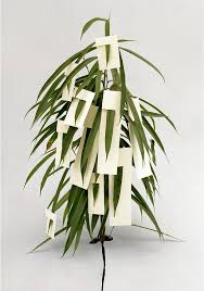 Ilona Plaum Plant Art Art Plants