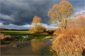 Le Ried Alsacien Paradis Perdu Ou Terre D Espoir Le Blog De Natumara Terre Paradis Foret