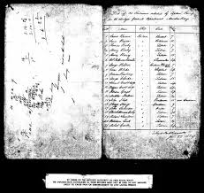 The men of the Stapylton Survey