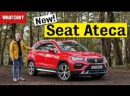 Seat ateca xperience 2021 precio. Seat Ateca Xperience 2021 Suv Drive