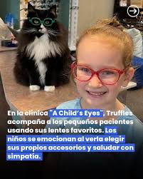 Truffles es una gatita rescatada de Pensilvania por Danielle Crull, una  maestra en óptica, dueña de: “A child's eyes”, negocio que atiende a niños  con problemas de la vista desde edades muy