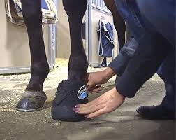 horse hoof boots and gel insert orthotics for horses soft ride