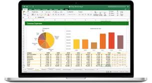 Do Excel Data Entry And Pie Chart Pivot Table Etc By Haroonniazi
