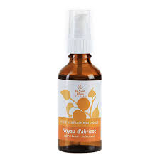 Huile Vegetale De Noyaux D Abricots Bio 50ml De Saint Hilaire
