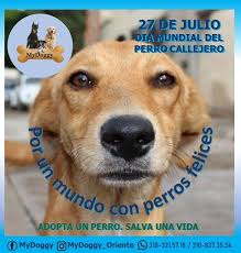 El chabacano es una lengua criolla de filipinas y parte de malasia e indonesia, lexificada por el español. Mydoggy Quien Dijo Por Primera Vez La Frase El Perro Es Facebook