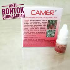 Maybe you would like to learn more about one of these? Obat Pertanian Camer Untuk Mengatasi Rontok Bunga Dan Buah Shopee Indonesia