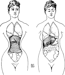What If Everything You Knew About The Corset Was Wrong Kitsch Slapped