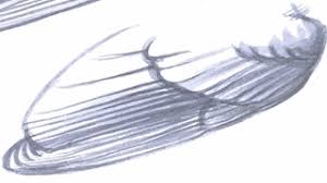 Understanding the basics of bird wing anatomy is a great way to sharpen your bird identification the secondary feathers are less visible on a folded wing and are closer to the bird's back, though they. Wing Basics By David Sibley Birdwatching