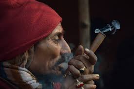 In order to smoke weed out of a pipe, you're going to need a few essential items to get started. Cannabis Smoking Wikipedia