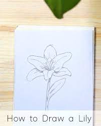 Textbook for developing artistic skills. How To Draw Flowers Step By Step Tutorials For Beginners Jeyram Art