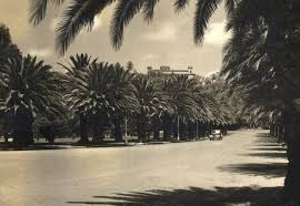 La Ciudad De Mexico En El Tiempo Ciudad De Mexico Historia De Mexico Fotos Historicas