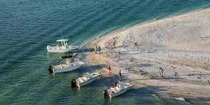 Boston Whaler Bay Day Raft-Up | MarineMax Wakefield