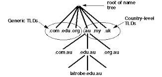 Lecture 9 The Domain Name System Dns