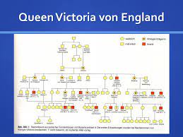 Da sie damals noch sehr jung war, bezeichnet man dieses. Konigin Victoria Von England Stammbaum Bildergebnis Fur Queen Victoria Family Tree Geschichte Konnte Im Jahr 1952 Nur Den Thron Besteigen Weil Ihr Vater Konig George Vi