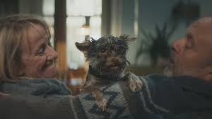 Film advertisement created by tbwa, netherlands for staatsloterij, within the category: Bart Timmer Isn T Kitten Around Shots